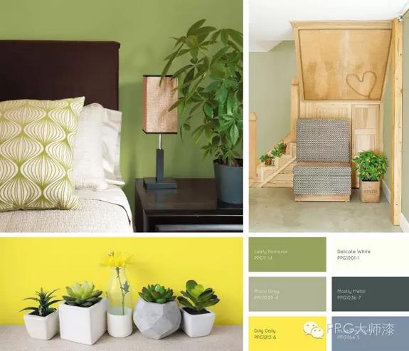 PPG公布2017年色彩流行趨勢 四個(gè)主題各有精彩