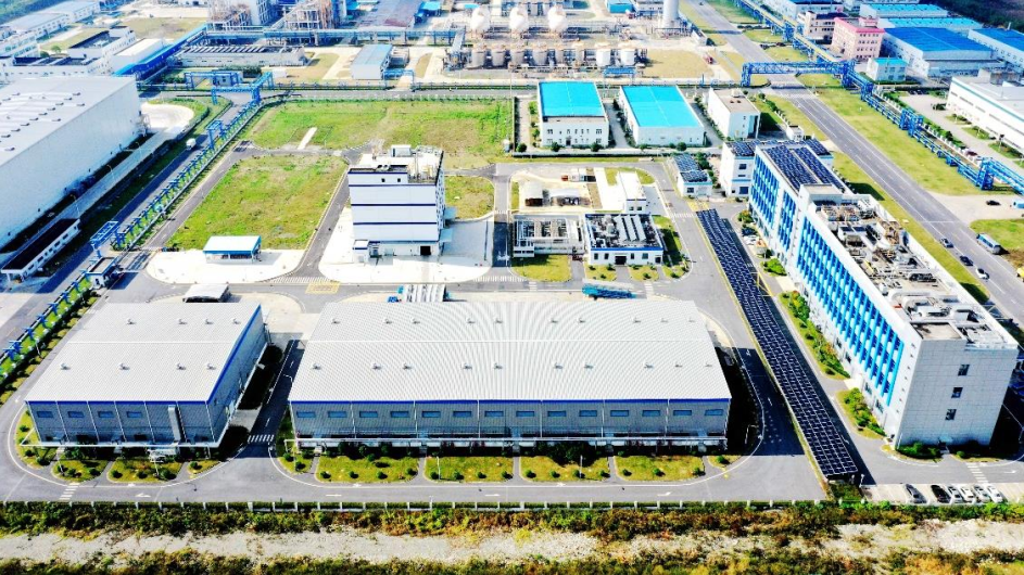 image001.png image001.png